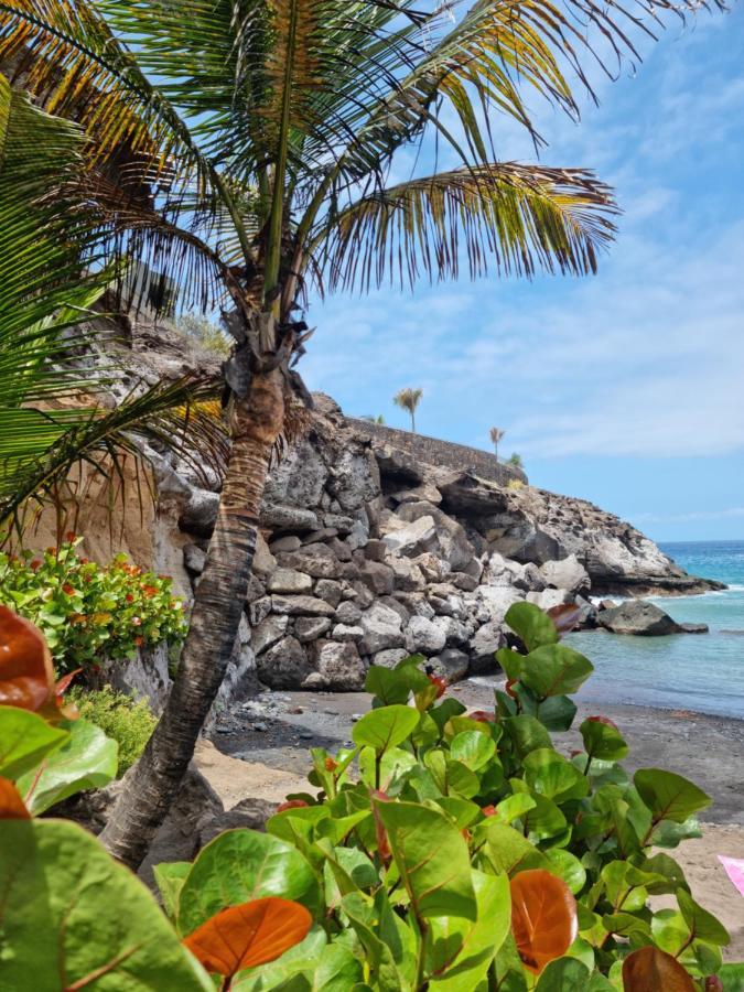 Stunning Studio With A Sea View And Pool, Paraiso Del Sur 1309 아데제 외부 사진